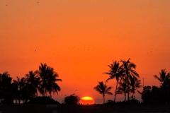 Apus Salalah, Oman