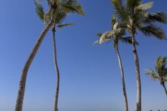 Plaja Salalah, Oman