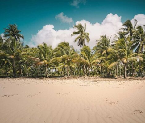 Ce să vizitezi în Salalah, Oman