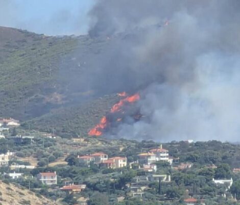 Incendiu în Palaia Fokaia din Grecia