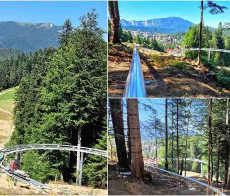 Imagini cu Predeal Mountain Coaster