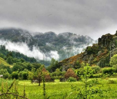 Proiectul include un parc de aventură, sanie de vară și tiroliene