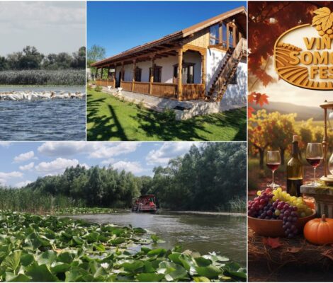 Ponturi pentru o vacanță în Somova și Delta Dunării