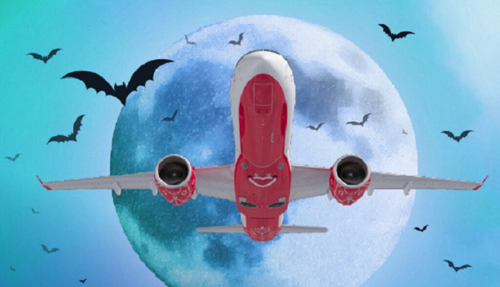 Bilete de avion, de la 23 de euro, pe 12 rute