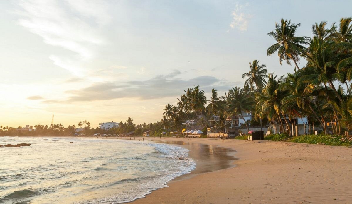 Ofertă Last Minute: Crăciun & Revelion 2026 în Sri Lanka. Cel mai mic preț pentru o vacanță fabuloasă de 14 zile!