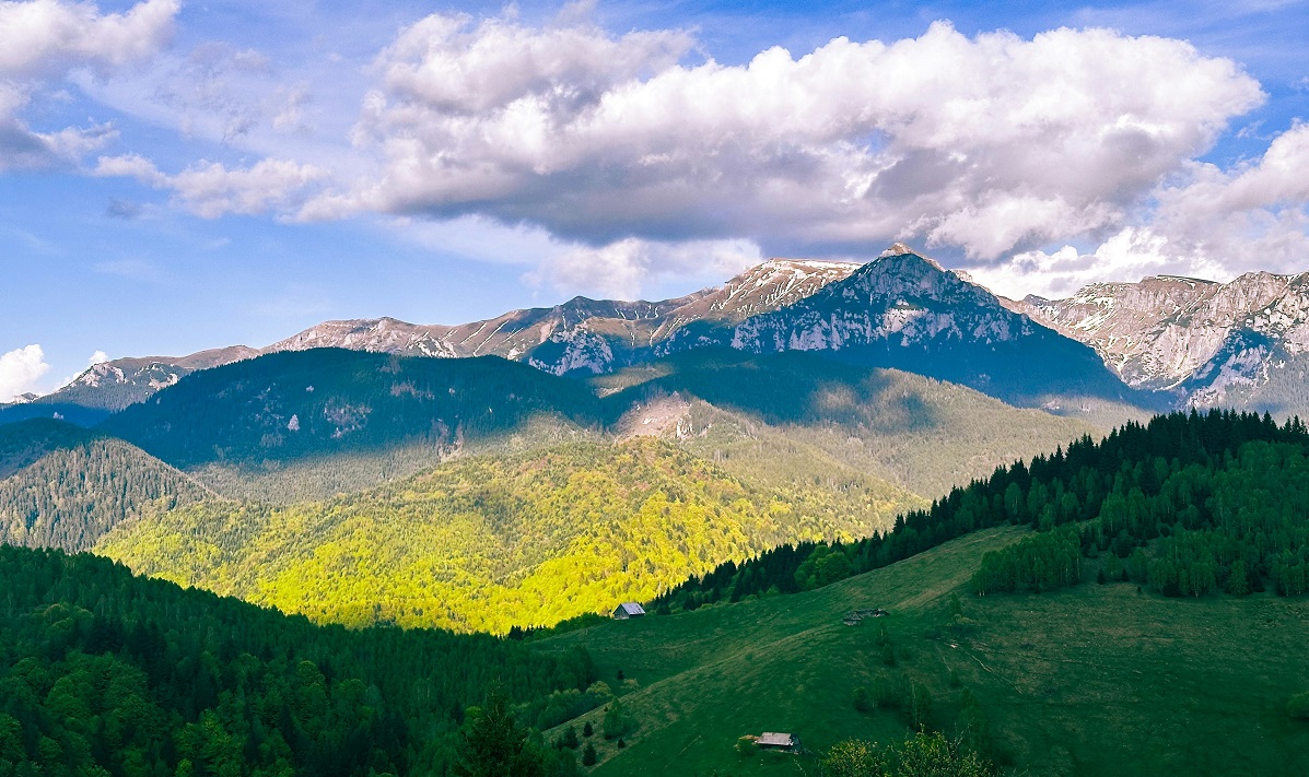 National Geographic a inclus România în TOP 6 „cele mai bune proiecte de conservare din lume”