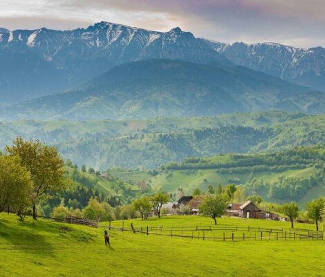 Pădurea Craiului, noua destinatie ecoturistică din România